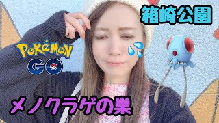 ポケモンgo 福岡のメノクラゲの巣 時給は そして イーブイの日 Youtube