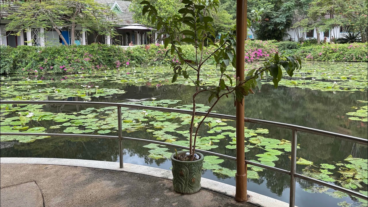 Вьетнам. Нячанг. Грязевые и минеральные источники Тхап Ба.