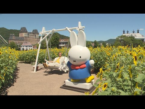 かごしまDO！】新エリア誕生！ ハウステンボス特集（2025年8月16日放送