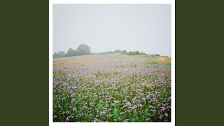 Sommergewitter - RAUM27