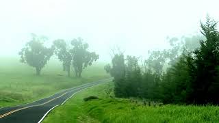 Prophetic Word: Good News at the Oasis (Written & Narrated by Lynda Carroll) screenshot 5