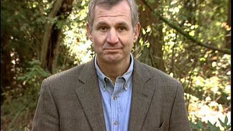 Terry Hershey - Vulnerability