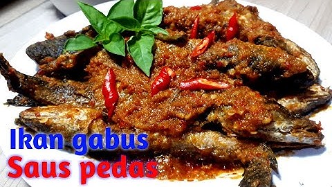 Thumbnail of Cara masak ikan gabus | resep sambal ikan gabus saus pedas