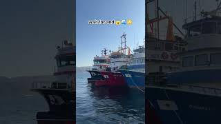 dangerous seen 🌊😳 #youtubeshorts #marineservices #viralshorts #viralvideo #portlife #viralreels #yt