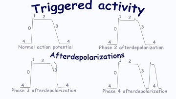 Triggered activity. Afterdepolarizations