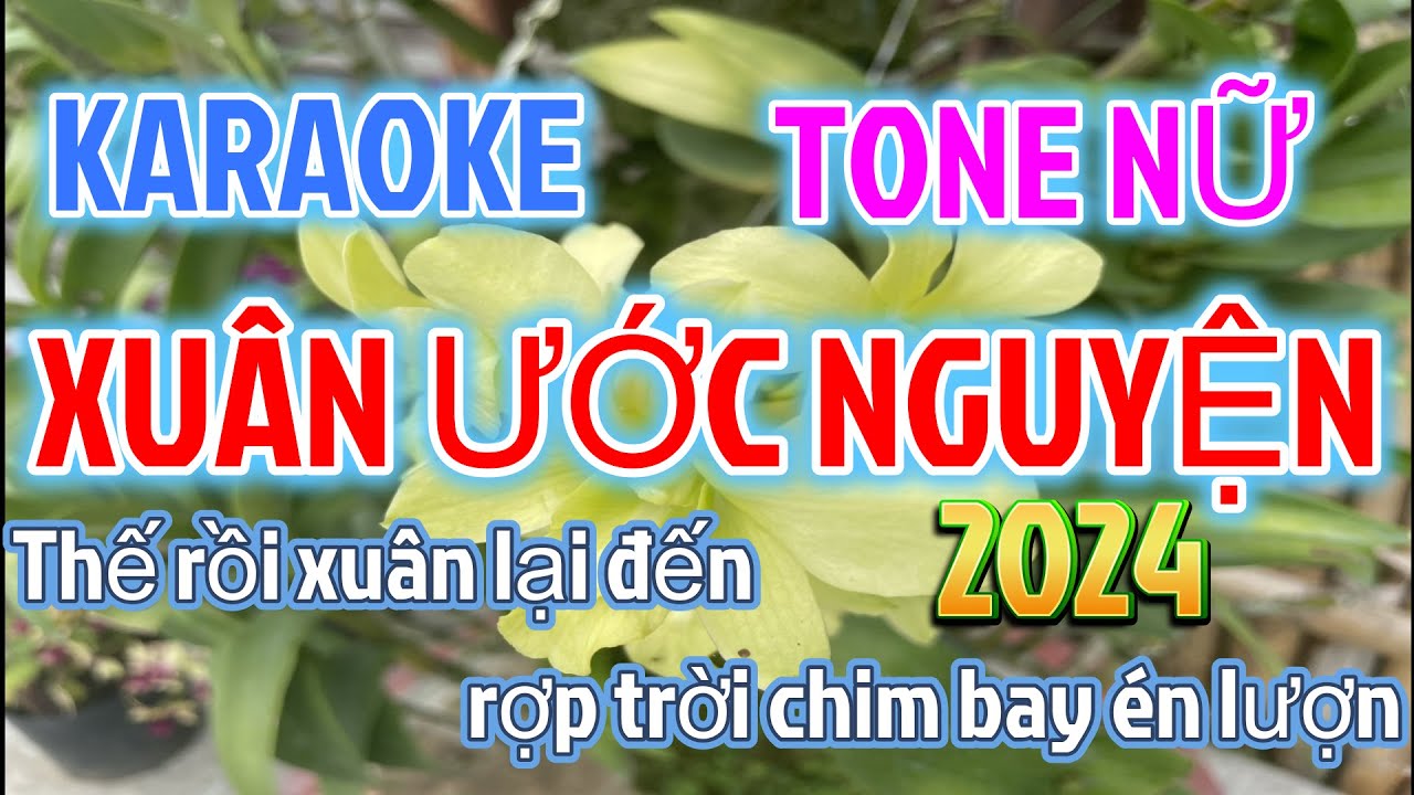 Karaoke Xuân Ước Nguyện Tone Nữ Nhạc Sống |Anh Bằng Karaoke| Karaoke Nhạc Xuân Hot Tiktok  năm 2024