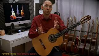 The Guitarists Hands by Fernando Perez, 1  Intro.