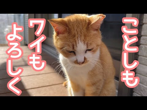 2025年はタマさんからのスタートです - YouTube