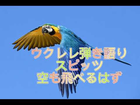 ウクレレ弾き語り スピッツ 空も飛べるはず 歌ってみた