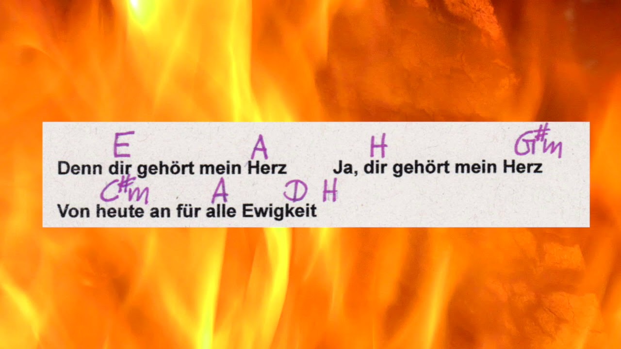 Phil Collins Dir Gehört Mein Herz Text