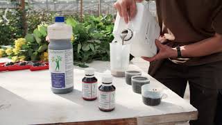 Experience from De Ruiter Innovations BV with nano trace elements from B+H Solutions