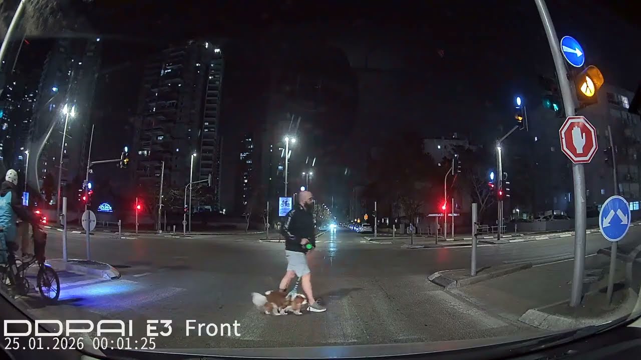 CRAZY DRIVING IN ISRAEL 739