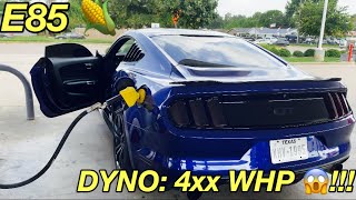 How much POWER does my E85 Mustang GT make!? *DYNO RESULTS*