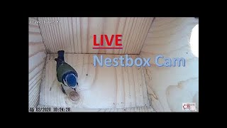 LIVE Birdbox Cam - UK (No Nest Yet)