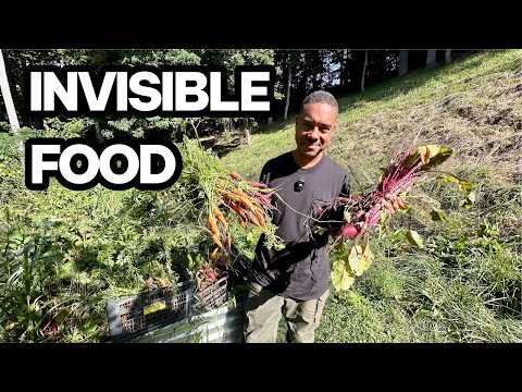 The Garden Nobody Notices Could Save Your Family