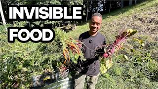 The Garden Nobody Notices Could Save Your Family