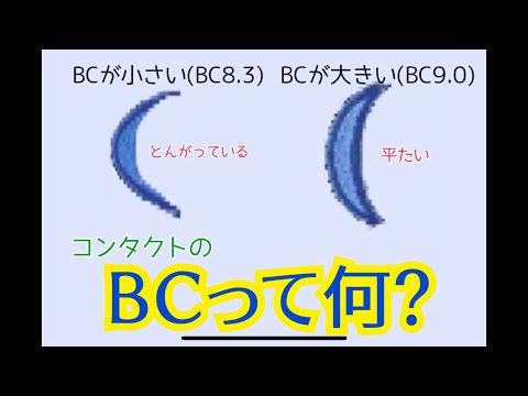 【コンタクトレンズ】BC(ベースカーブ)って何？〜ざっくり説明〜