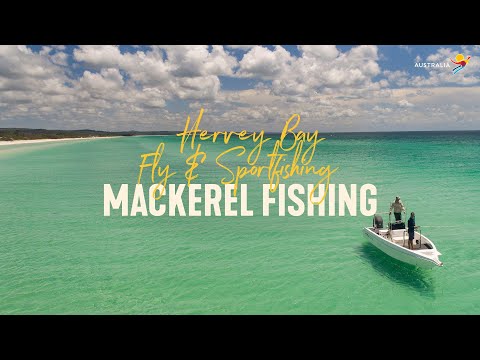 Hervey Bay Fly and Sportfishing | Live from Aus, Fraser Coast