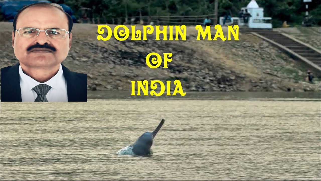 DOLPHIN MAN OF INDIA I PADMA SHRI PROF RAVINDRA KUMAR SINHA I JOURNEY dolphin-man-of-india-i-padma-shri-prof-ravindra-kumar-sinha-i-journey