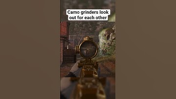 Camo grinders look out for each other #modernwarfare2 #mw2 #callofduty #cod #memes