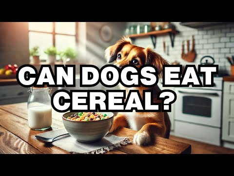 Are Crunchy Nut Cornflakes Ok For Dogs