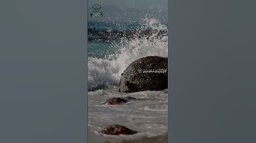 سورة النجم • مكية • بصوت هاني الرفاعي | عدد الآيات: 62 #قرآن #Quran #تلاوة #قرآن_كريم #النجم