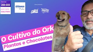 O Auto Cultivo de um Mestre Chocolateiro, com Ork Grow
