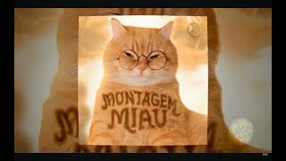 MONTAGEM MIAU 