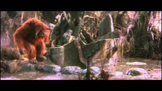 bog of eternal stench