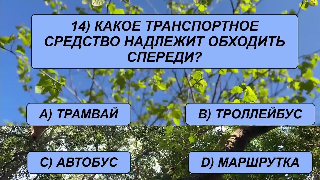 Настоящее испытание для вашей ЭРУДИЦИИ, сможете ли вы решить все 25 вопросов?