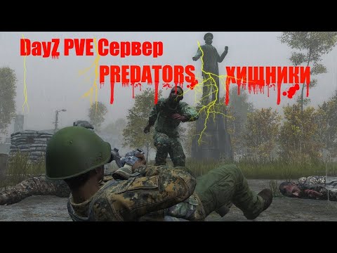 Противовирусное или Берег?) .Стрим #3 #stream #dayz