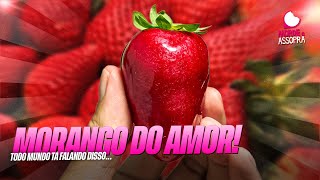 O QUE É O MORANGO DO AMOR? ENTENDA NOVA RECEITA VIRAL DA INTERNET, 28/07/2025