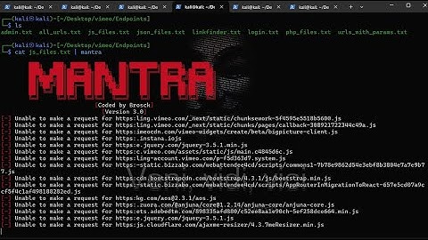 Vimeo-Live Hacking Bug Hunting on HackerOne | Bug Bounty | Recon Part 1
