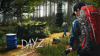 DayZ сервер на котором невозможно построиться