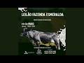 LEILÃO FAZENDA ESMERALDA | 19/05/2026 – 20H