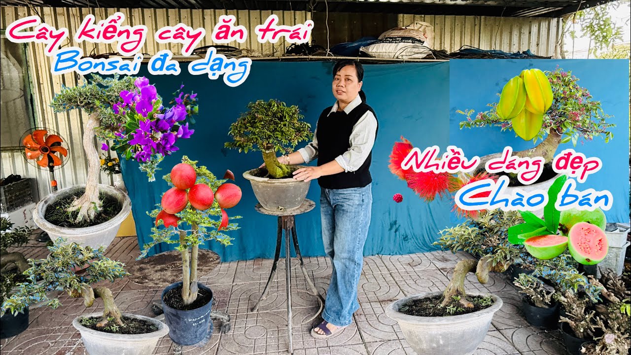 Cây kiểng cây ăn trái Bonsai đa dạng chào bán ..10/03😘📲 0917.962.524.Hồng-Nga