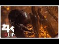 Kay Is Chased By A Xenomorph Scene | ALIEN ROMULUS (NEW 2024) Movie CLIP 4K