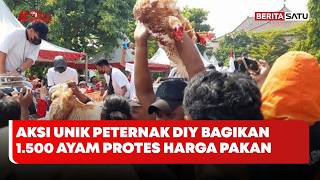 Aksi Unik Peternak DIY Bagikan 1.500 Ayam di Malioboro Protes Harga Pakan #BeritaSatu