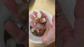 Authentic Crystal Mining Bucket for Rock Lovers!