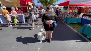 Baxter & Bailee- 1 & 2 Year Old Maltipoos- 2 Week Board and Trains by Off Leash K9 Boise 1 view 3 weeks ago 8 minutes, 26 seconds