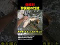 価格別狩猟槍の性能！#shorts
