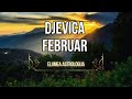 DJEVICA FEBRUAR 2026 Solarna Eklipsa Mijenja Posao Retro Merkur Donosi Sudbinske Odnose DJEVICA FEBRUAR 2026 Solarna Eklipsa Mijenja Posao Retro Merkur Donosi Sudbinske Odnose