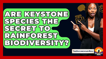Are Keystone Species The Secret To Rainforest Biodiversity? - The Documentary Reel