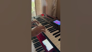 Roland Fantom 06 Bass guitar