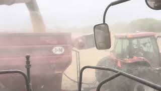 Unloading on the go with the Case IH 2577 combine