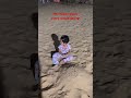 Her Hapy place, every single day❤️ #viral #youtubeshorts #sand #baby #happhappy #dailyroutine #funny