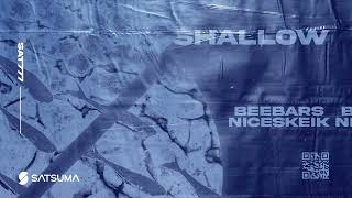 BeeBars, NICESKEIK - Shallow