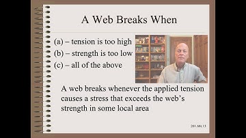 Web20168t - Defect - Runnability and Web Breaks