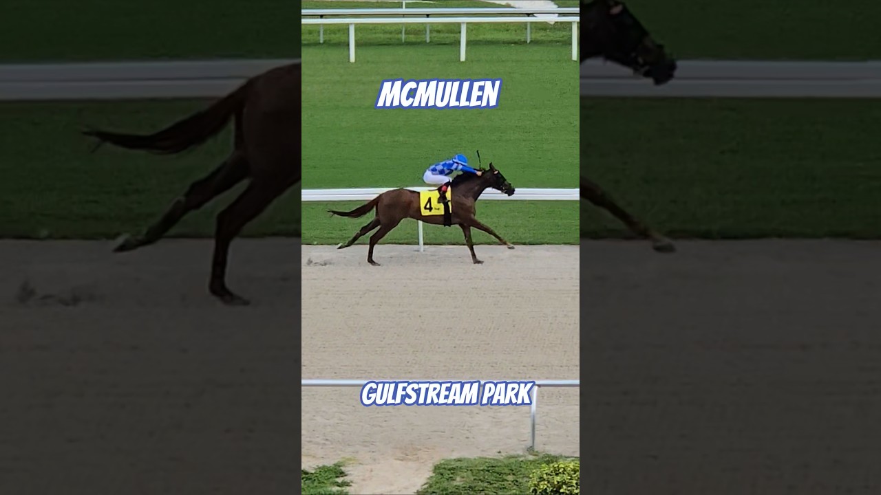 McMullen digging deep and winning race 2 under Luis Fuenmayor. 