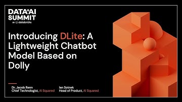 D-Lite: Integrating a Lightweight ChatGPT-Like Model Based on Dolly into Organizational Workflows